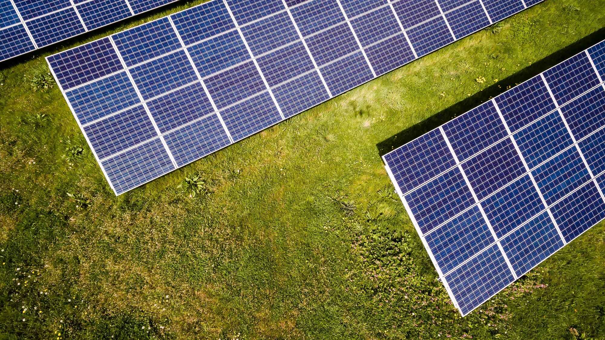 Solarmodulreihen auf einer Wiese aus der Vogelperspektive