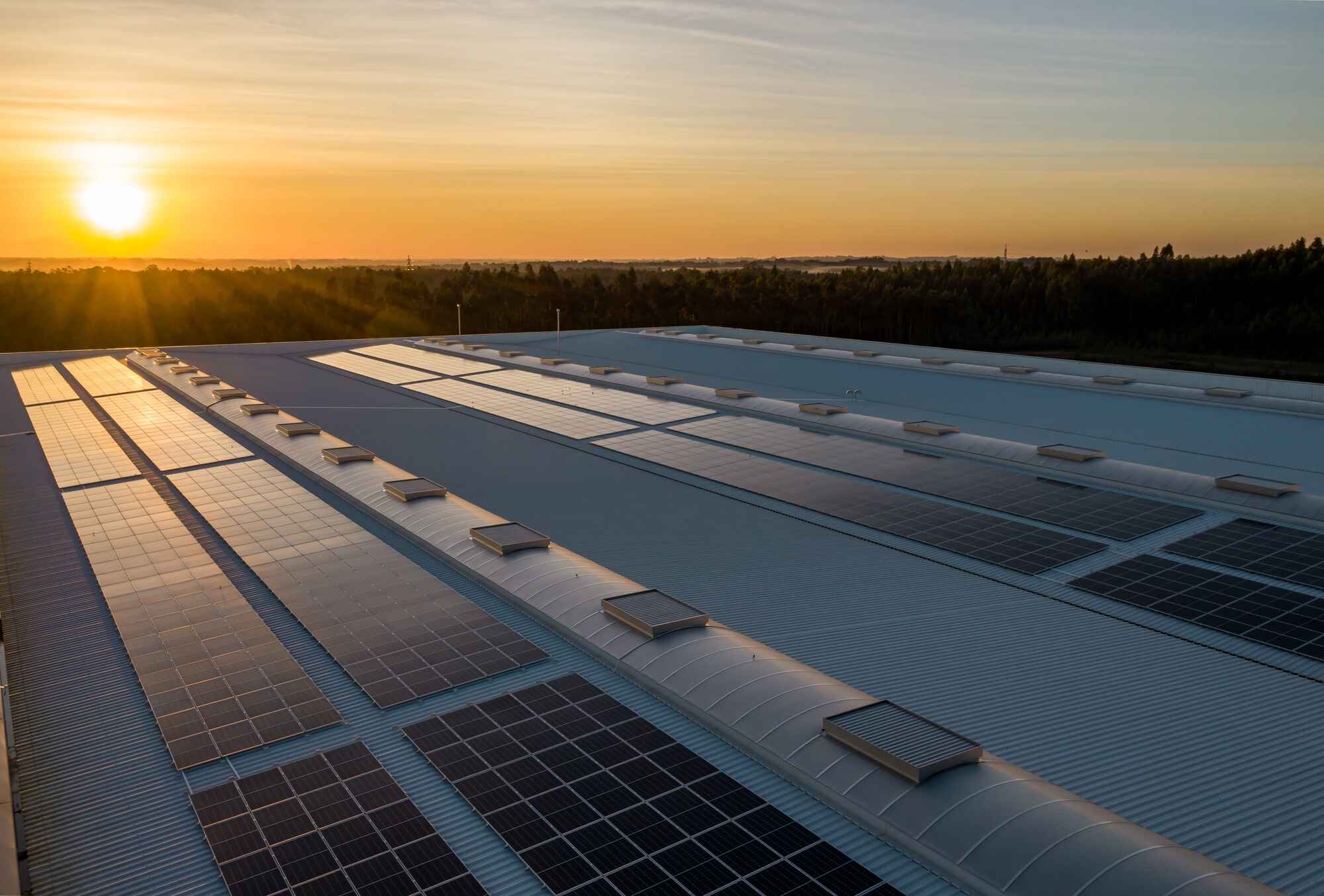 Photovoltaikanlage auf einem Industriedach bei Sonnenuntergang