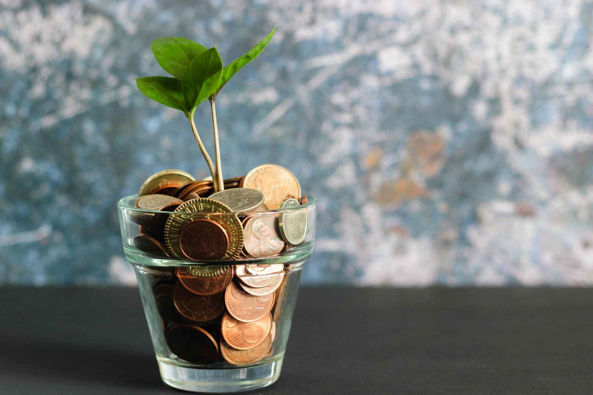Glas mit Münzen und wachsender Pflanze als Symbol für Finanzierung