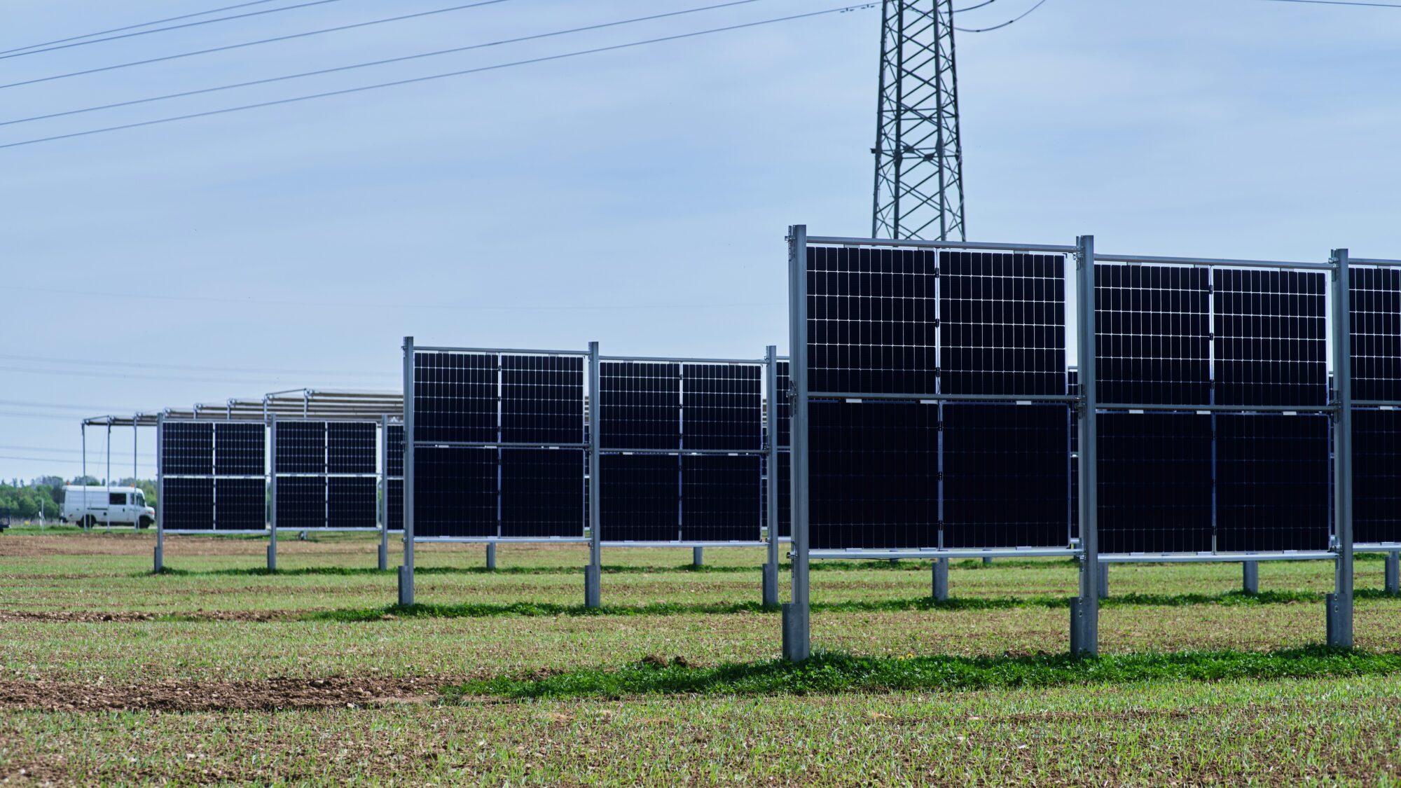 Vertically mounted agri-PV modules in a field
