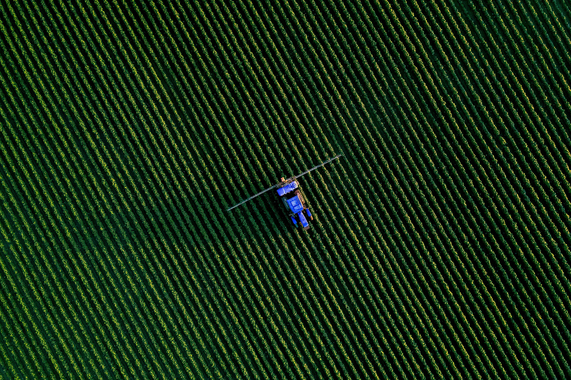 Traktor bei der Feldarbeit aus der Vogelperspektive
